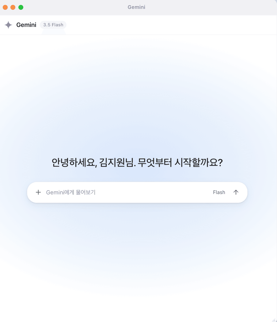 Gemini 활용 화면