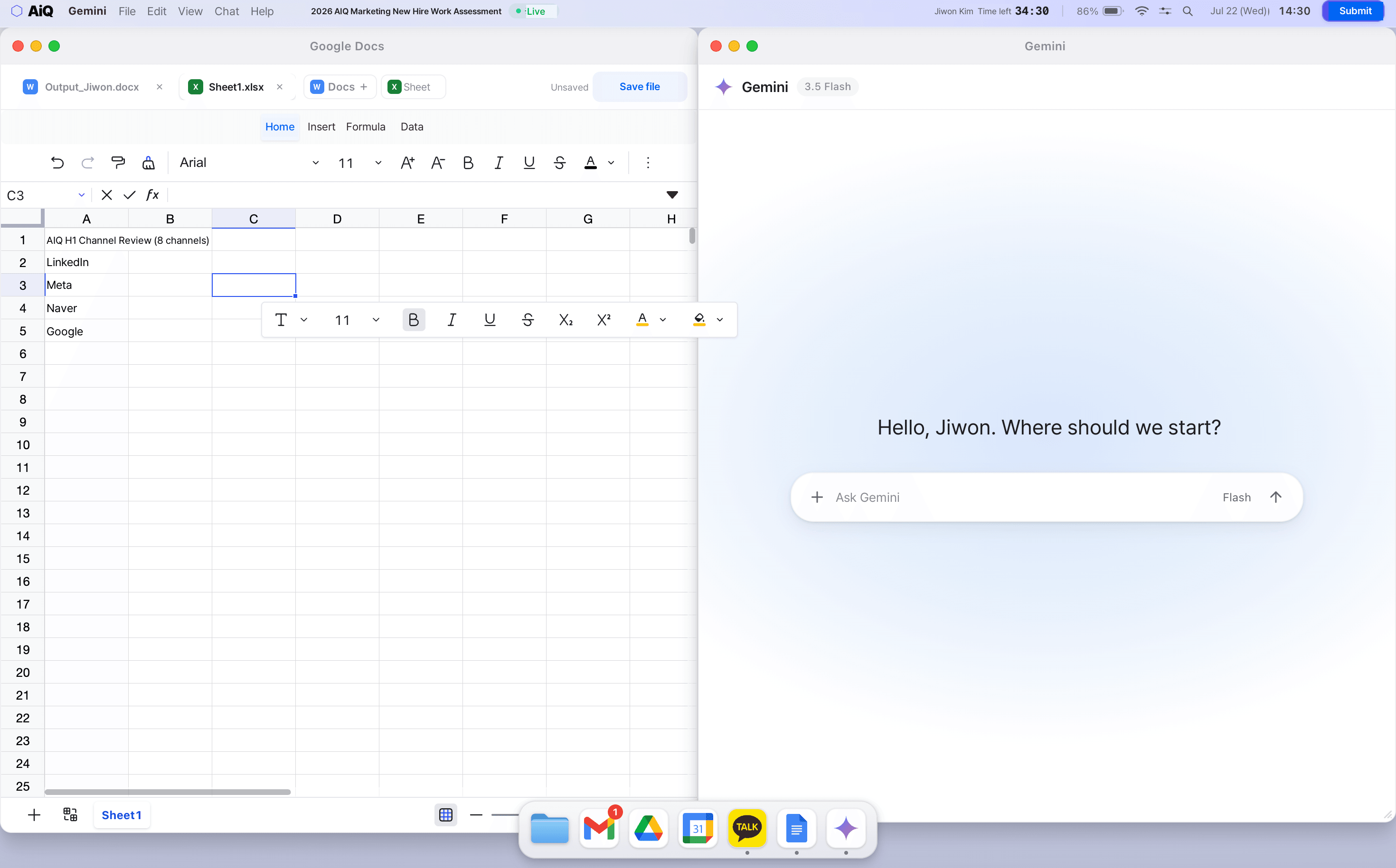 Spreadsheet and Gemini in use